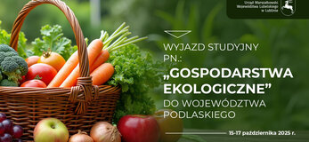 Grafika informująca o wyjeździe studyjnym na Podlasie w dniach 15-17 października 2025 roku. Jest to grafika przedstawiająca kosz z warzywami i owocami.