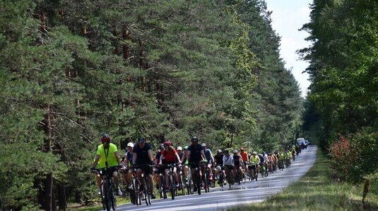 Duza grupa rowerzystów jedzie szosą przez las