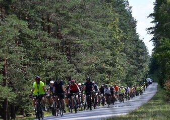 Duza grupa rowerzystów jedzie szosą przez las