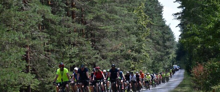 Duza grupa rowerzystów jedzie szosą przez las