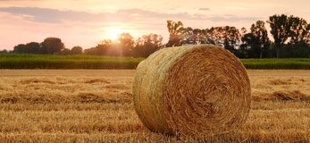 pole o zachodzie słońca. Na polu balot słomy