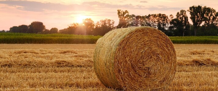 pole o zachodzie słońca. Na polu balot słomy