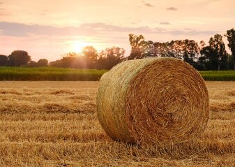 pole o zachodzie słońca. Na polu balot słomy