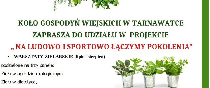 W górnej części plakatu widoczne logotypy: flaga Unii Europejskiej, Krajowej Sieci Obszarów Wiejskich oraz Programu Rozwoju Obszarów Wiejskich. Poniżej wiązki ziół zwieszone na sznurku. Pod nimi informacja dotycząca operacji „Na ludowo i sportowo łączymy pokolenia”. Koło Gospodyń Wiejskich w Tarnawatce zaprasza do udziału w projekcie „Na ludowo i sportowo łączymy pokolenia”. W ramach operacji zrealizowane będą warsztaty zielarskie podzielone na trzy panele: zioła w ogrodzie ekologicznym zioła w dietetyce, zioła w kosmetologii, festyn w Tarnawatce oraz konkurs kulinarny „regionalne smaki”. Pio prawej stronie w połowie wysokości plakatu widoczne doniczki z ziołami, w części dolnej bukiety ziół.