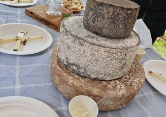 Na stole przygotowanym do degustacji leżą sery pleśniowe i długo dojrzewające. Są to trzy krążki serów w charakterystycznej skórce.