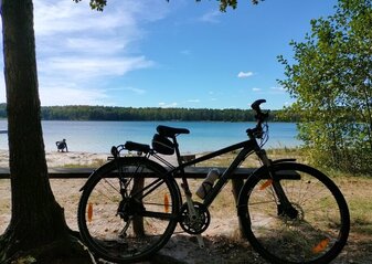 Rower oparty o ławkę stoi na koło drzewa. W tle widać jezioro.